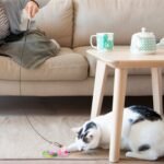 2 Cat Wand Toys with Suction Cup Double Head Interactive Cat Feather Toy - Image 13