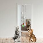 2 Cat Wand Toys with Suction Cup Double Head Interactive Cat Feather Toy - Image 14