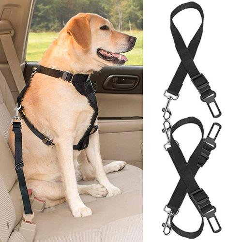 2-Pack: Multipurpose Pet Safety