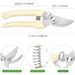 2-Pack: Stainless Steel Bypass Pruning Shears - Image 5