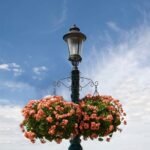 2-Piece: Iron Plant Hanging Bracket Plant Hanger Wall Hooks - Image 6