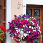 2-Piece: Iron Plant Hanging Bracket Plant Hanger Wall Hooks - Image 5