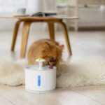 2.4L Automatic Pet Water Fountain - Image 2