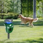 360?? Electric Solar Powered Ultrasonic Repeller with Motion Sensor LED Flashing Lights - Image 16