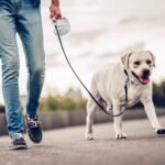 4-in-1 SitStayGo Grab n' Go Pet Dinette and Leash - Image 7