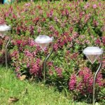4-Piece: Solar Diamond LED Light Pathway Stake Decorative Lamp - Image 6