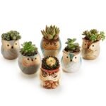 6-Pack: 2.5 Inch Owl Pot Ceramic Base - Image 5