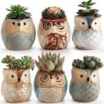 6-Pack: 2.5 Inch Owl Pot Ceramic Base - Image 6