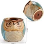 6-Pack: 2.5 Inch Owl Pot Ceramic Base - Image 3