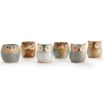 6-Pack: 2.5 Inch Owl Pot Ceramic Base - Image 2