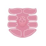 Abs Stimulator Abdominal Shaping Belt - Image 7