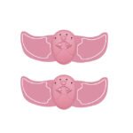 Abs Stimulator Abdominal Shaping Belt - Image 8