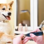 Dog Nail Grinder 2 Speeds Quiet USB Rechargeable - Image 11
