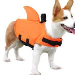 Dog Swimsuit with Shark Fin - Image 2