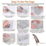 Foldable Rat Trap Cage Humane Live Rodent Trap Cage - Image 11