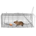 Foldable Rat Trap Cage Humane Live Rodent Trap Cage - Image 2