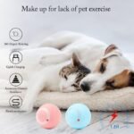 Found Notice Smart Interactive Cat Toy - Image 7