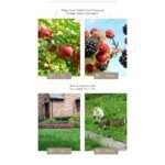 Garden Ultrasonic PIR Sensor Solar Animal Dispeller - Image 2