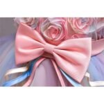 Girl's Rainbow Tulle Lace Dress - Image 4