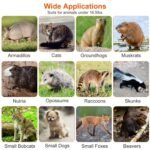 Humane Catch Release Live Animal Collapsible Galvanized Wire Trap Cage - Image 13