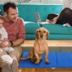 Pressure Activated Pet Gel Self Cooling Mat Pad - Image 8