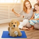Pressure Activated Pet Gel Self Cooling Mat Pad - Image 3