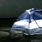 Rat Trap Cage Humane Live Rodent - Image 18