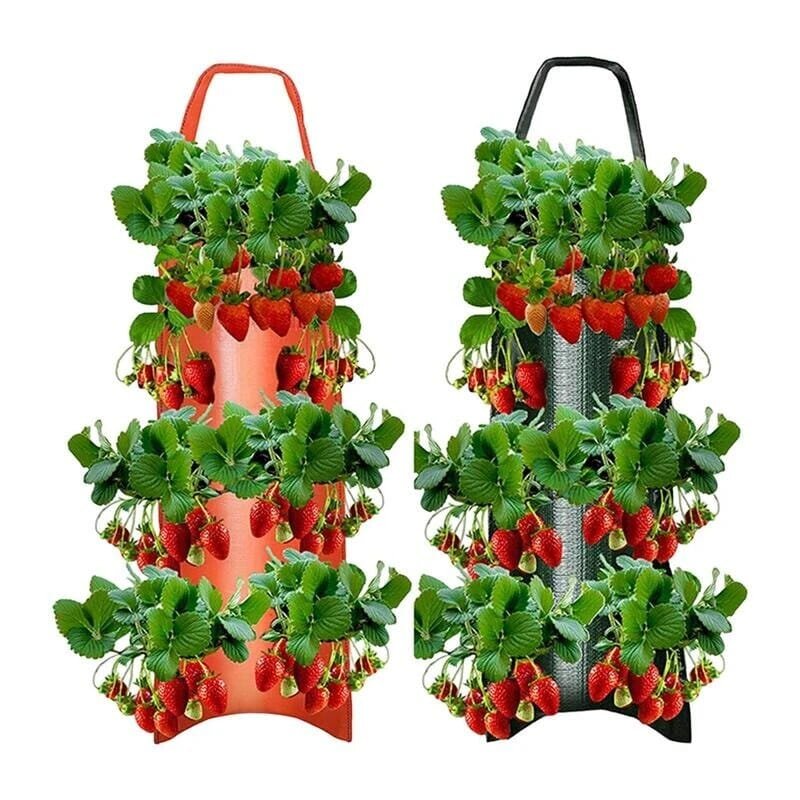 Upside Down Tomato Grow Bag