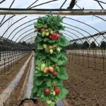 Upside Down Tomato Grow Bag - Image 11