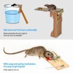 Walk the Plank Mouse Trap Reusable - Image 5