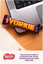 Nestlé Yorkie Raisin and Biscuit Milk Chocolate Bars, 24 x 44 g - Image 4